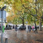 BIZ-project Burgh-Haamstede komt op stoom
